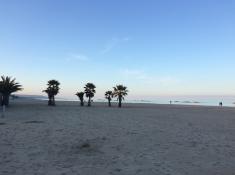 Im Winter war der endlose Strand an der Adria frei, im Sommer stehen dort unzählige Sonnenschirme