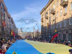 Nationalfeiertag in Vilnius
