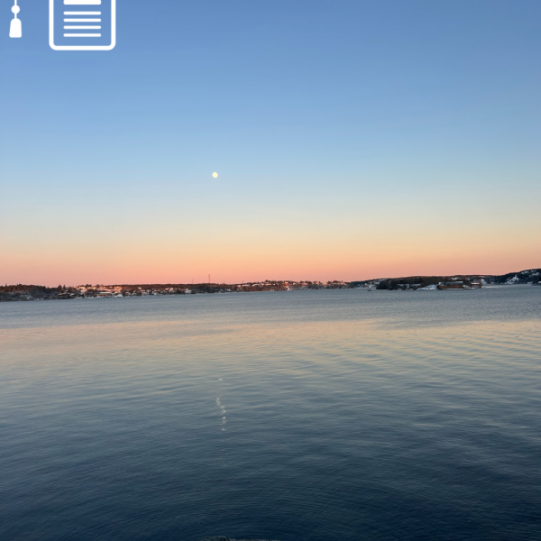 ERASMUS+ Auslandspraktikum: Stockholm, Schweden