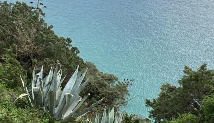Erfahrungsbericht: Auslandssemester Portugal