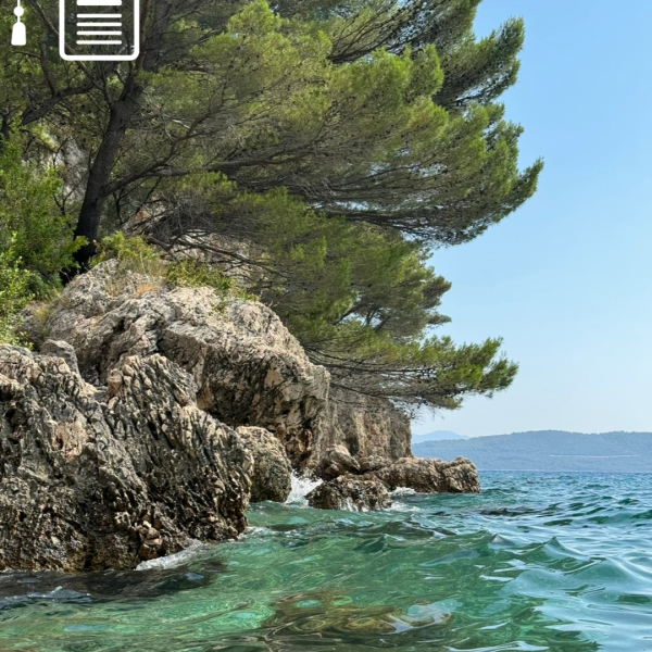 ERASMUS+ Auslandspraktikum: Zagreb, Kroatien