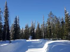 In Lappland im Winter