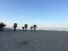 Im Winter war der endlose Strand an der Adria frei, im Sommer stehen dort unzählige Sonnenschirme