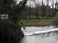 Der River Burren, der durch Carlow fließt