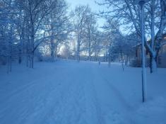 Campus Januar/Februar