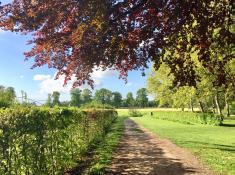 Der Park hinter dem Unigelände