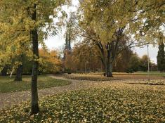 Linnéparken und Kirche