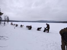 Eindrücke: Lappland (Abisko)