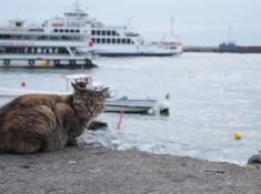 Istanbul/Üsküdar