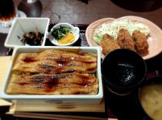 Anago-Meshi mit Kaki Fry, traditionelles Gericht auf Miyajima, bei Hiroshima