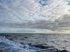 The Irish Sea - to spot Dolphines and Whales