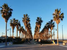 Der Strand von Valencia ist sehr schön und sauber