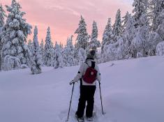 Snow-Shoeing in Lapland