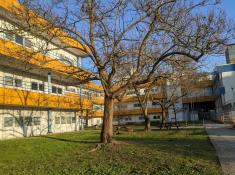 Wissenschafts Campus am Rand von Pavia